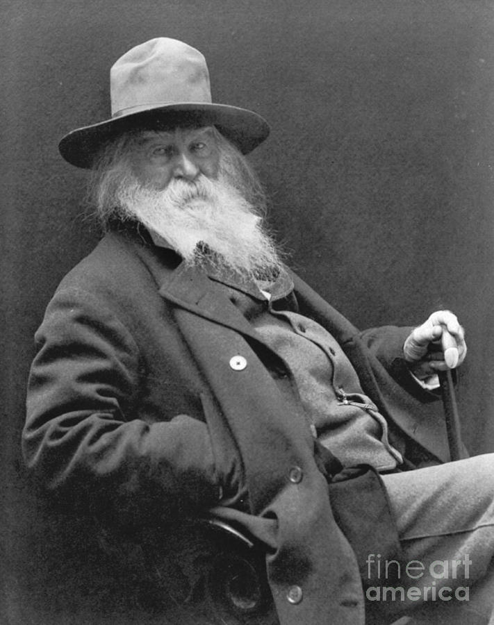 Walt Whitman 1887 Photograph by Padre Art