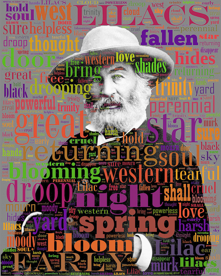 Walt Whitman Digital Art by Eric Edelman