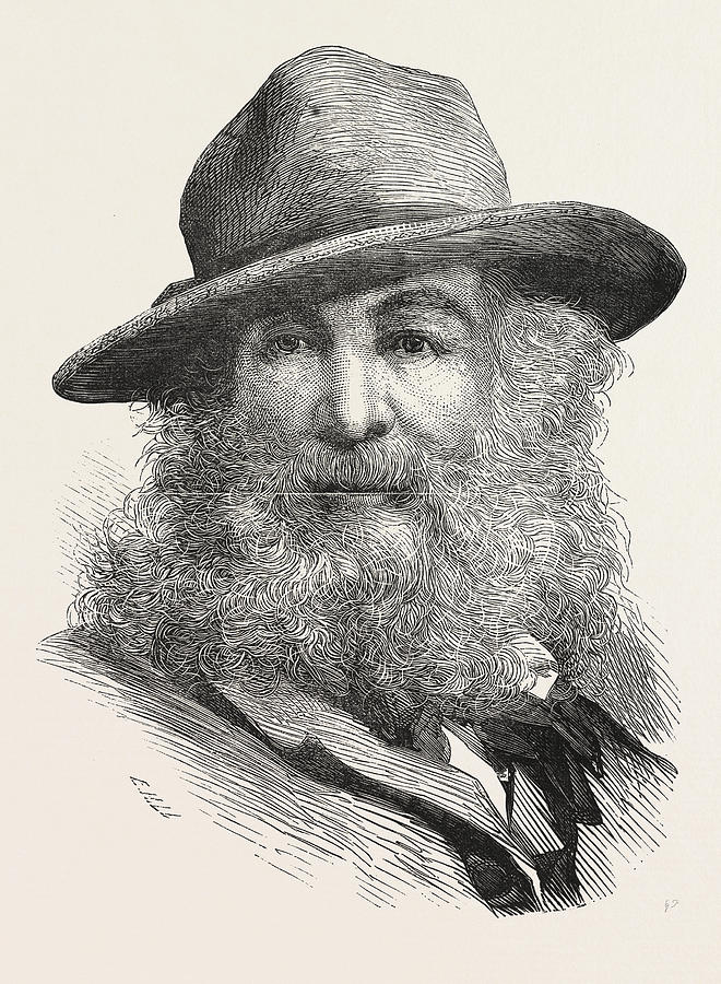Vintage Drawing - Walt Whitman, May 31, 1819  March 26, 1892, Was An American by American School
