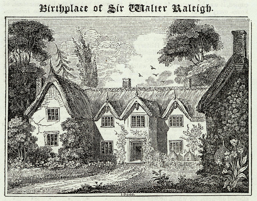 Raleigh Drawing - Walter Raleigh  Birthplace At Hayes by Mary Evans Picture Library