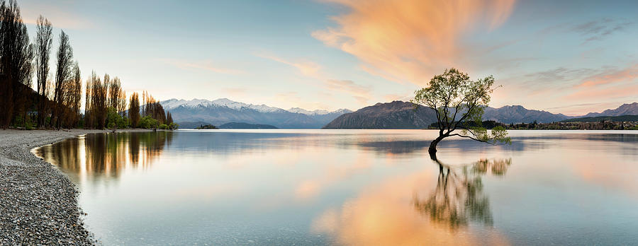 Wanaka - Lone Tree Sunrise At Lake Photograph by Kathryn Diehm