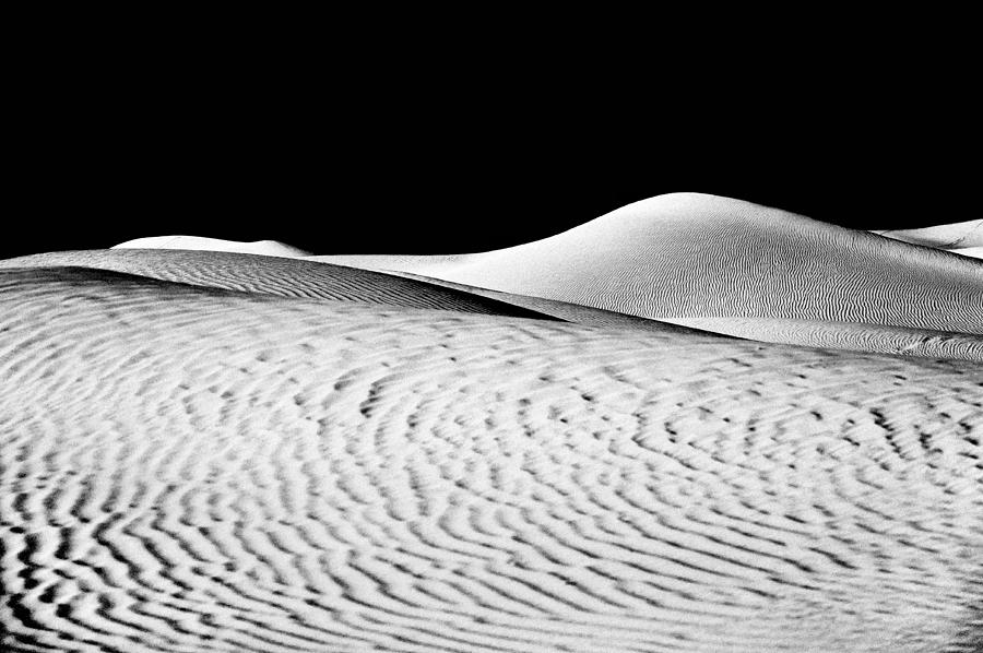 Black And White Photograph - Wandering the Desert by Tomasz Dziubinski