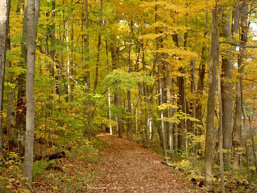 Wandering Trail 6 Photograph by BackHome Images - Fine Art America