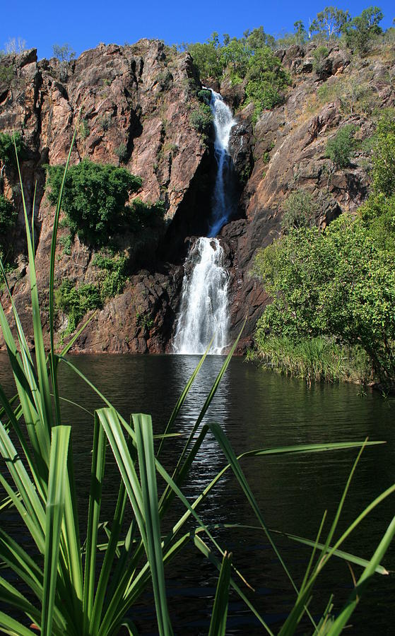 Wangi Falls Photograph by Carl Koenig - Fine Art America