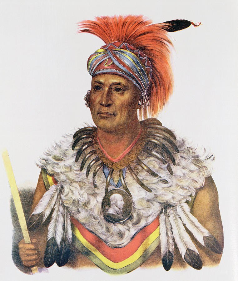 Wapella Or The Prince Chief Of The Foxes, 1837, Illustration From The Indian Tribes Of North Photograph by Charles Bird King