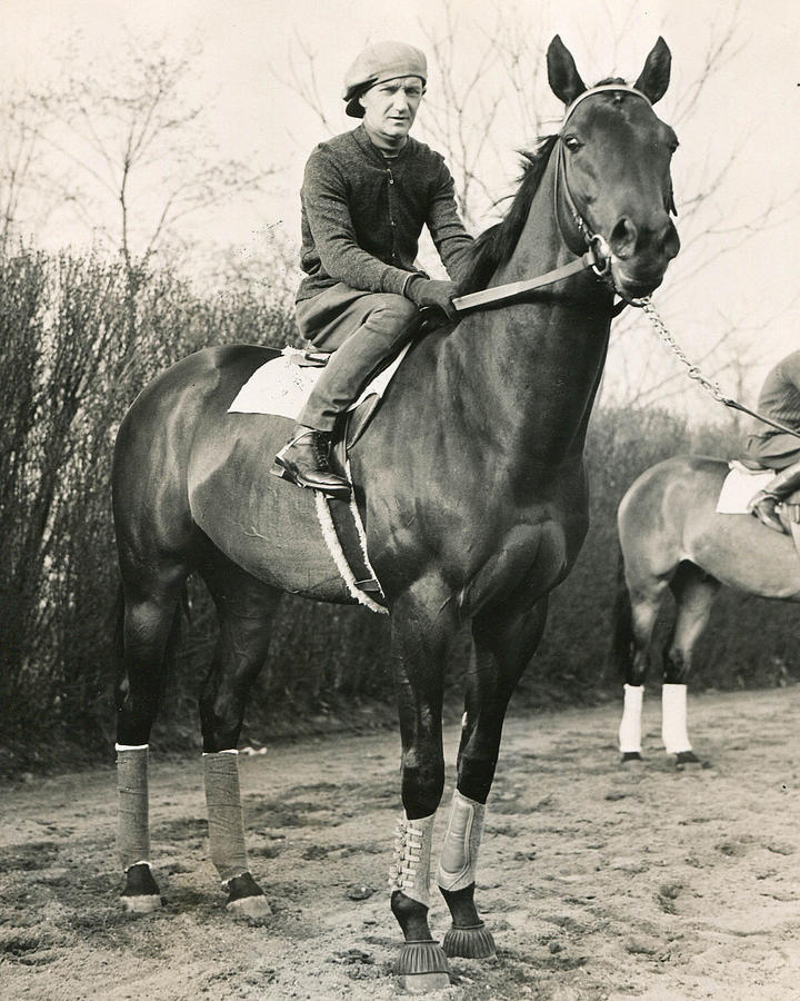 War Admiral Vintage Horse Racing #001 Photograph by Retro Images Archive
