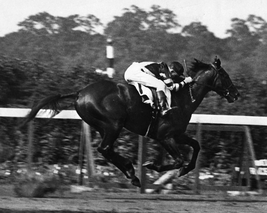 War Admiral Vintage Horse Racing #002 Photograph by Retro Images Archive
