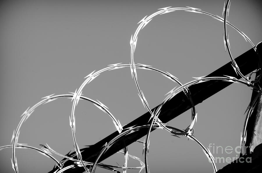 Barbed Photograph - WAR and PEACE by Charles Dobbs
