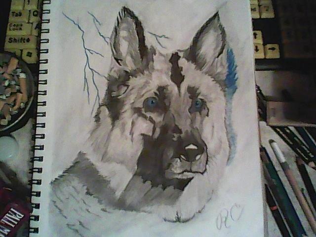 War Dog Drawing by Ron Campbell