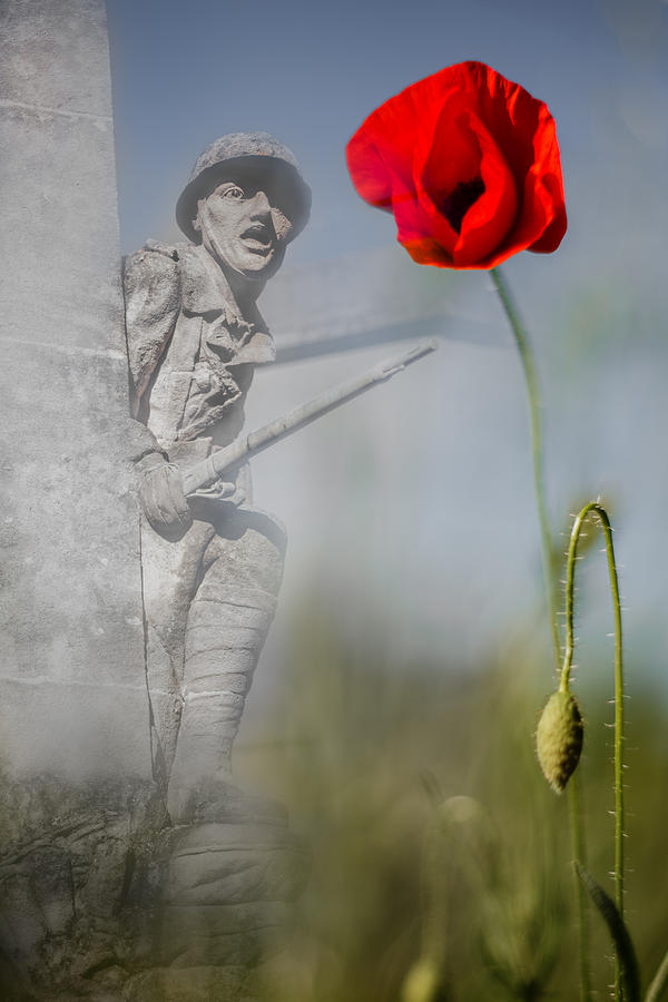 Poppy Photograph - War memorial poppy by Izzy Standbridge