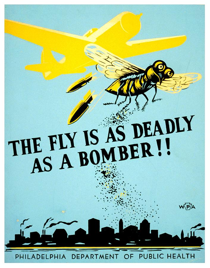 War Poster - WW2 - Beware The Fly Photograph by Benjamin Yeager