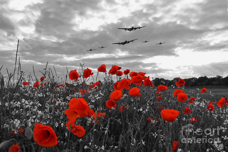 Warbirds Remembrance - Selective  Digital Art by Airpower Art