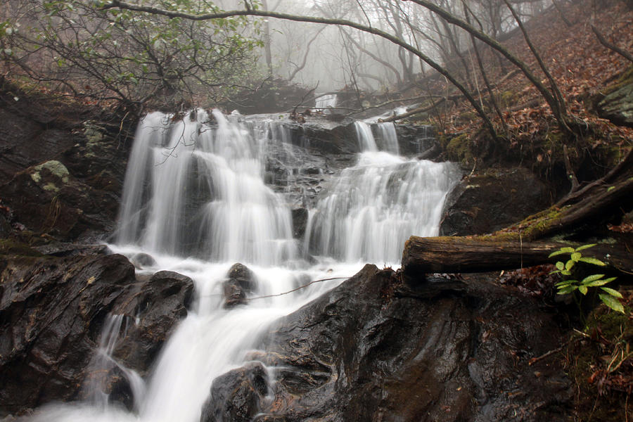 Ward Creek Falls near Justus Gap Photograph by MaryAnne Hinkle Fine