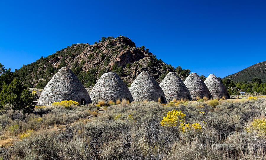 Wards Charcoal Ovens Photograph by Robert Bales