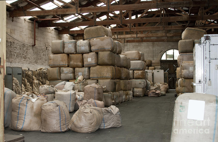 Warehouse full of wool Photograph by Patricia Hofmeester