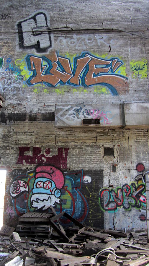 Warehouse Graffiti Smurf 2 Photograph by Anita Burgermeister