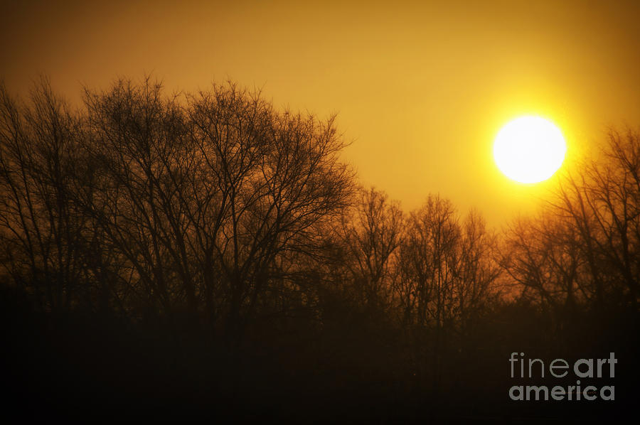Sunset Photograph - Warm Glow of the Morning Sunrise by Thomas Woolworth