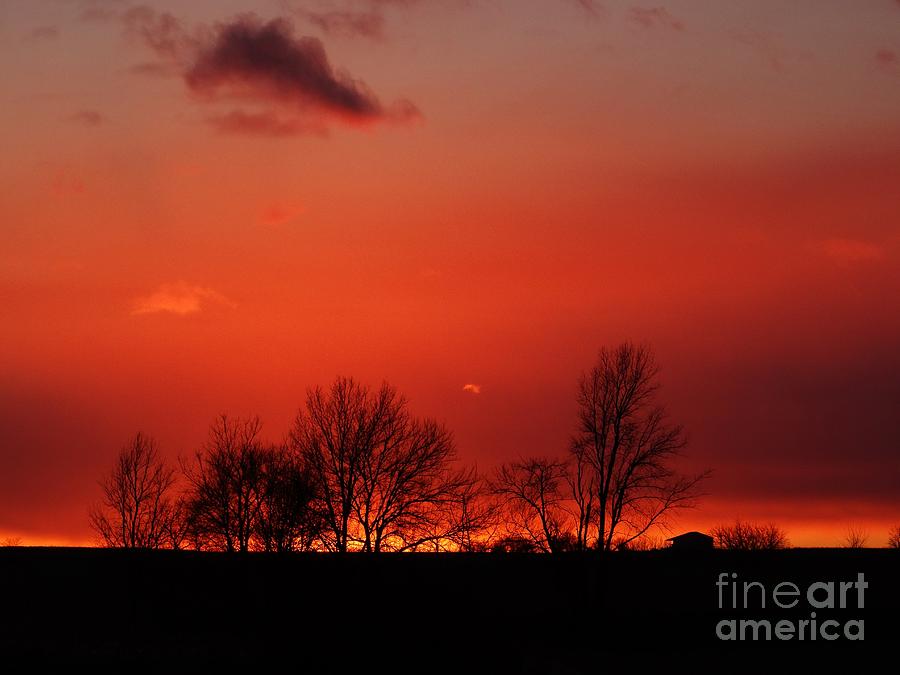 Warm January Sunset Photograph by J L Zarek