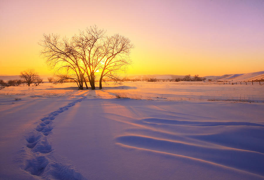 Warm Snow Photograph by Kadek Susanto