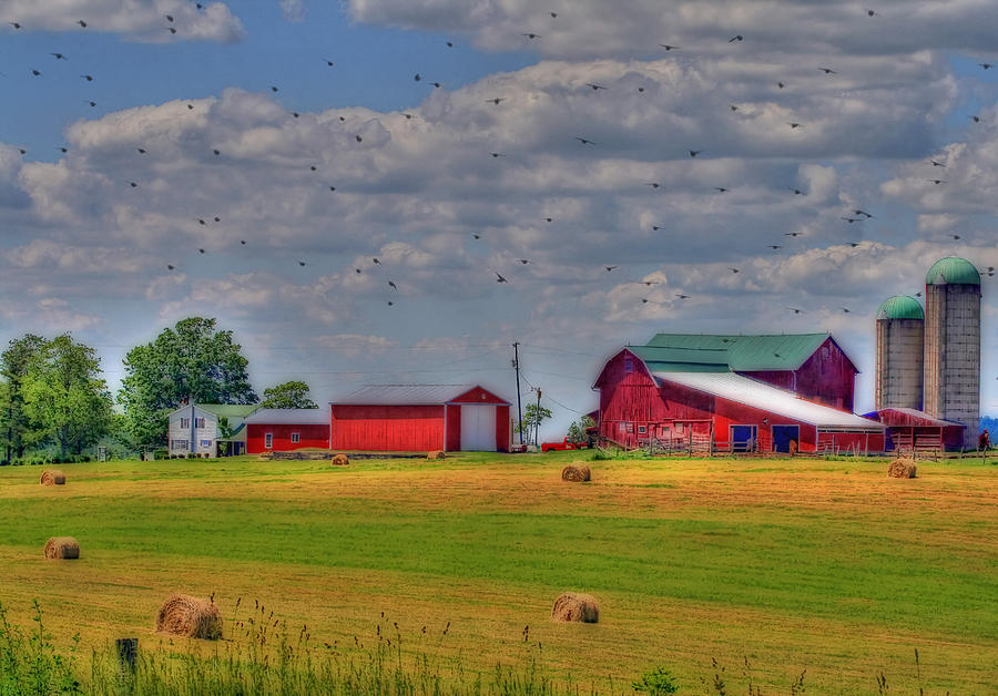 Warm Summer Day Photograph by David Simons - Fine Art America