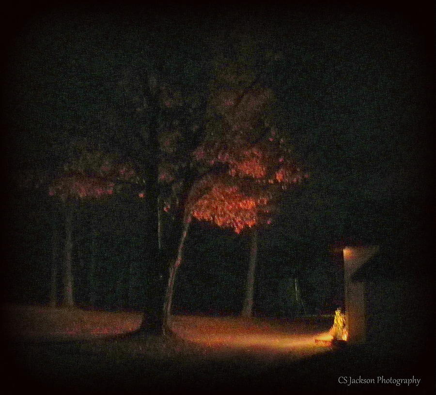 Tree Photograph - Warm Welcome Home by CS Jackson