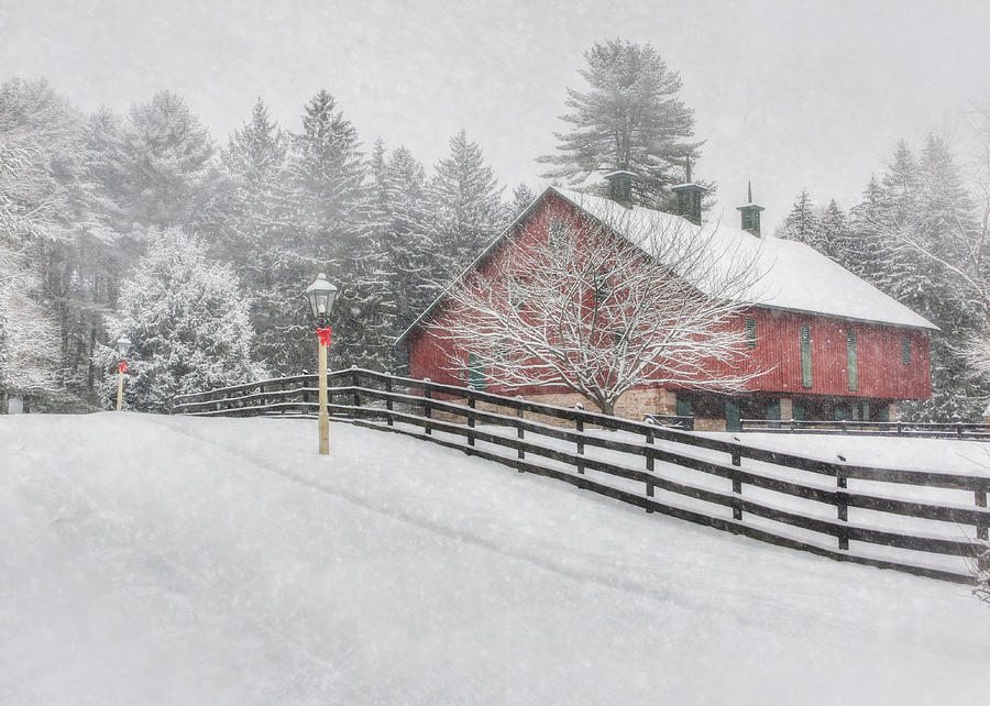 Winter Photograph - Warmest Holiday Wishes by Lori Deiter