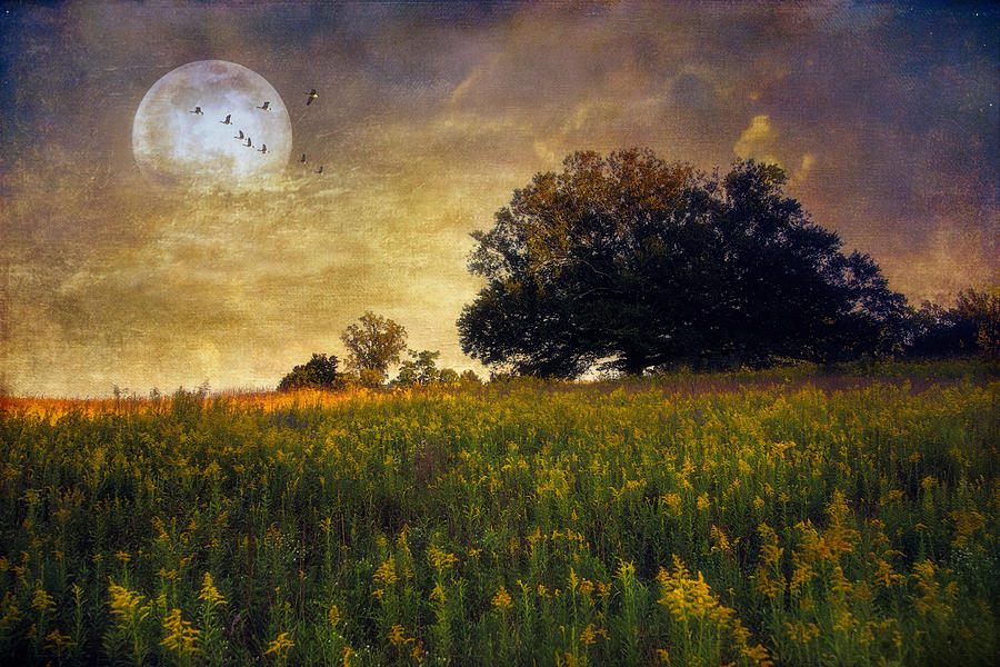 Warmth of the Harvest Moon Photograph by John Rivera