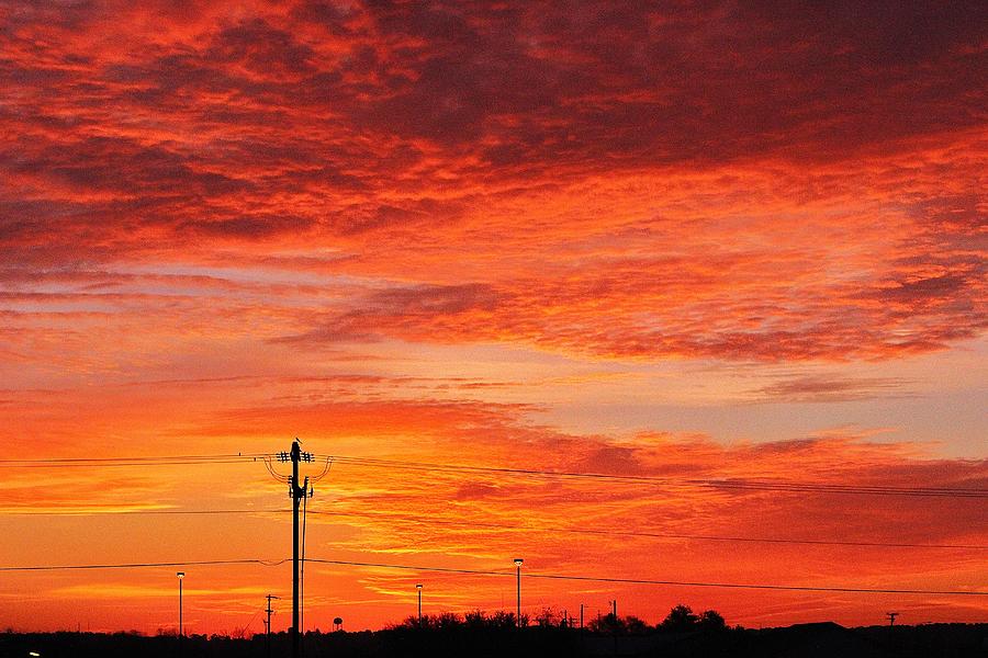 Warmth of the Sun Photograph by David Pauley - Fine Art America