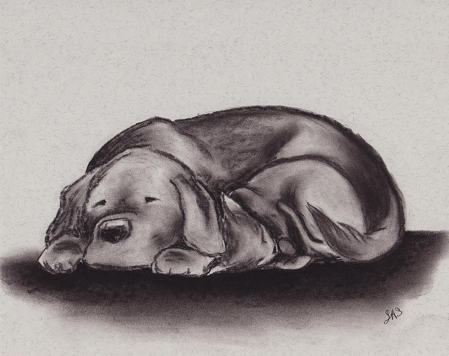 Dog Drawing - Warmth by Sherri Strikwerda