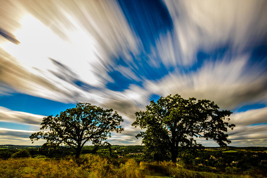 Warp Speed Oak Trees Photograph by Randy Scherkenbach