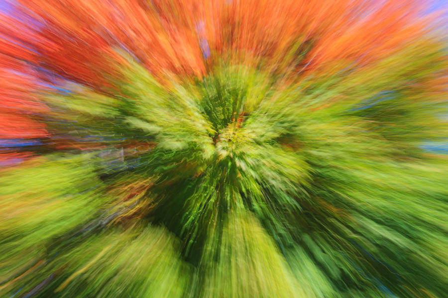 Abstract Photograph - Warp Speed by Rachel Cohen