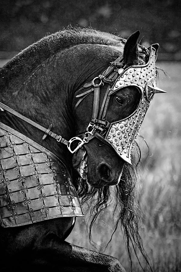 Warrior horse