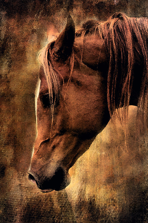 Horse Mixed Media - Wary by Sabine Peters