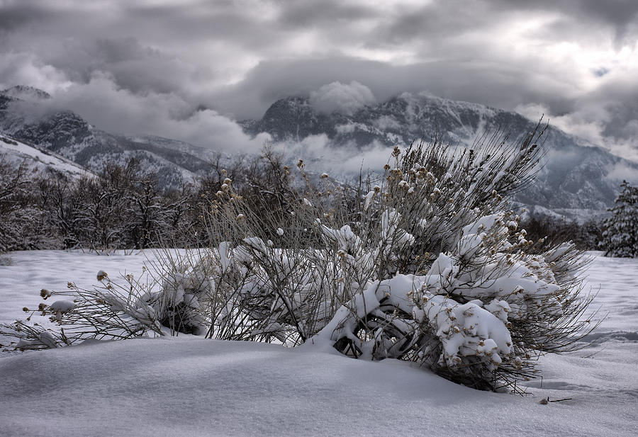Winter Photograph - Wasatch Front Winter Strom 2 by Randy Vreeke