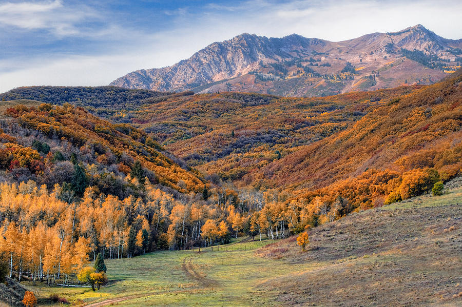 Wasatch Moutains Utah Photograph by Douglas Pulsipher