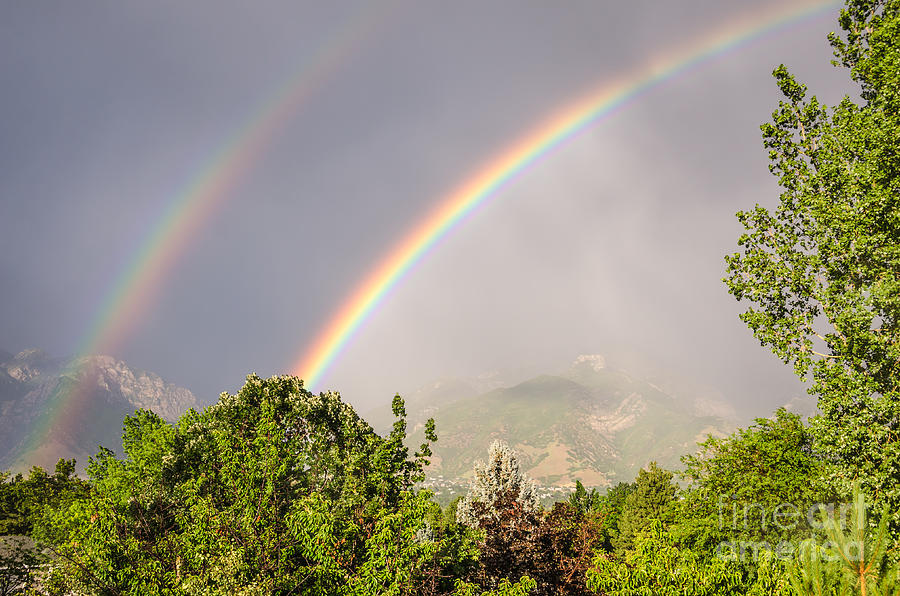 Wasatch Rainbow Photograph by Sue Smith