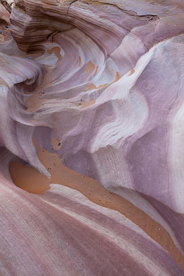 Wash Abstract- Valley Of Fire Photograph by Patrick Downey