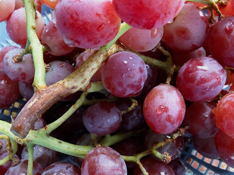 Washed Grapes Photograph by Scott Kingery