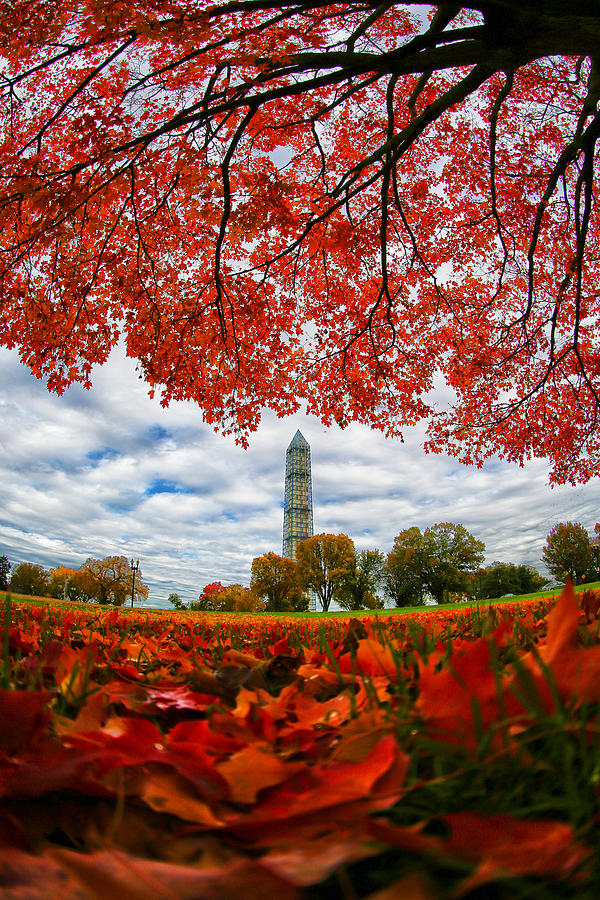 Washington Autumn Photograph by Mitch Cat