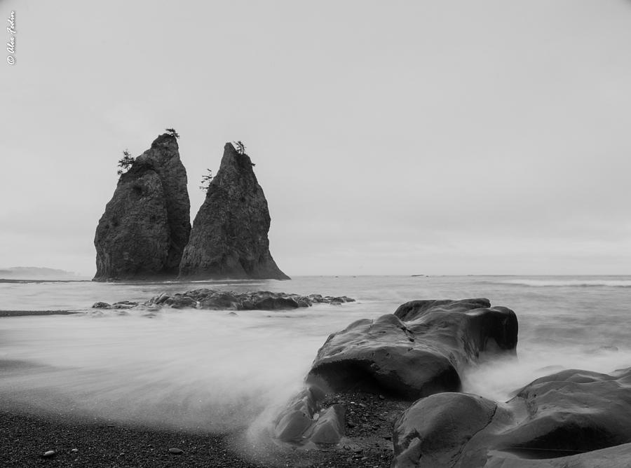 Washington Coast Photograph by Alexander Fedin