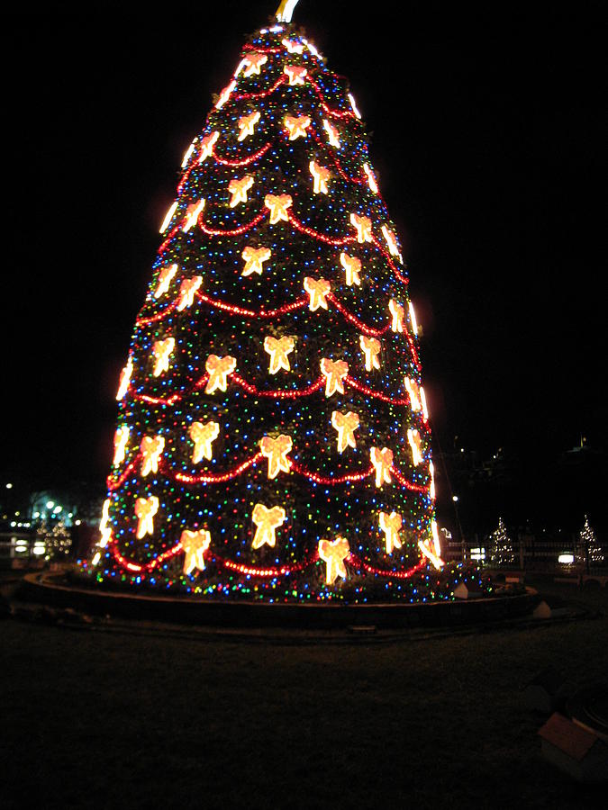 Christmas Photograph - Washington DC - Christmas at The Ellipse - 12121 by DC Photographer