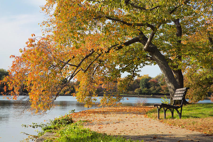 Washington DC tidal Basin in Autumn Photograph by Jack Nevitt