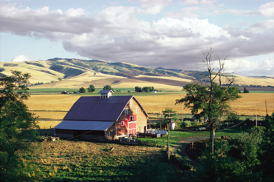 Washington Farmland Photograph by Earl Roberge