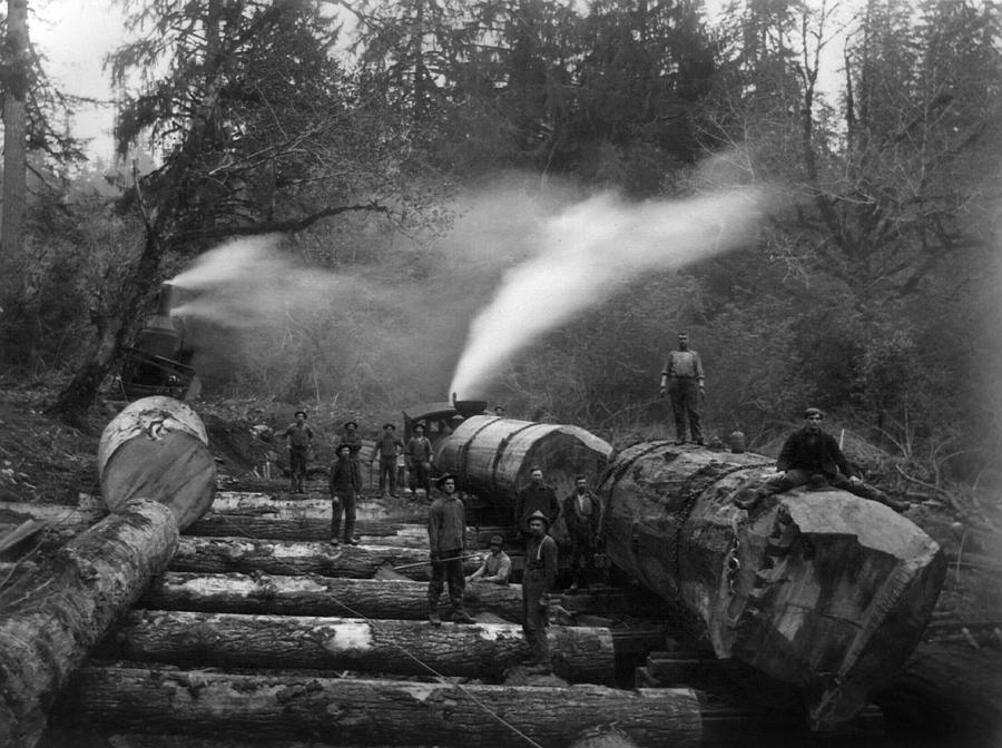 Washington Lumberjacks Photograph by Granger