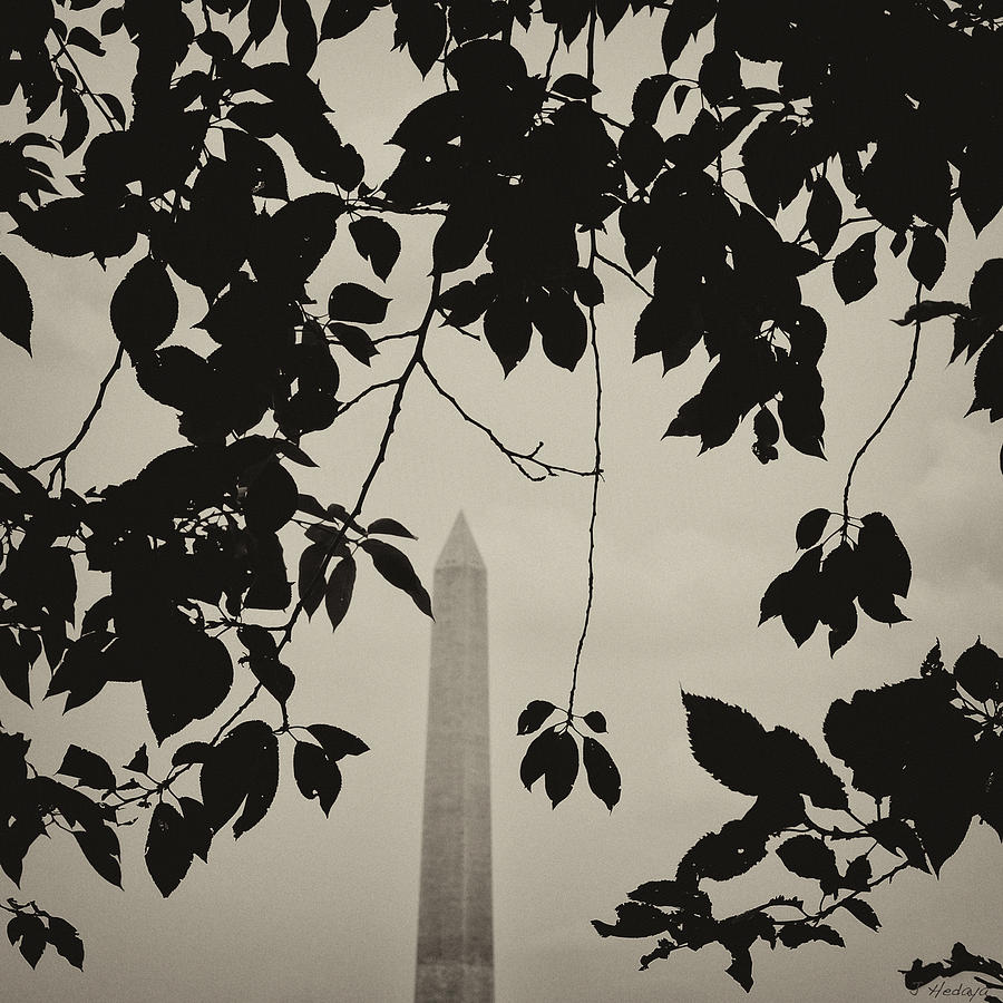 Washington Monument 2 Photograph by Joseph Hedaya
