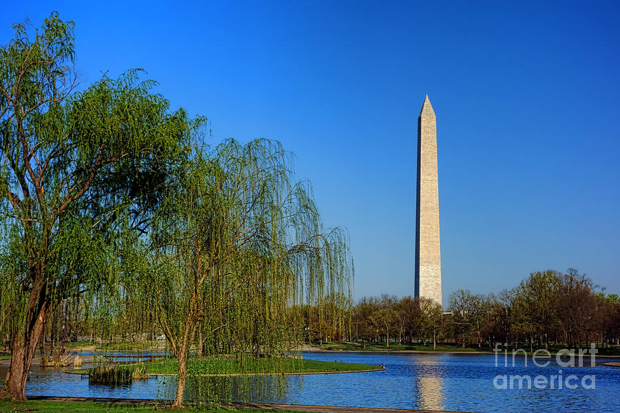 Washington Monument from Constitution Gardens Pond Photograph by Olivier Le Queinec