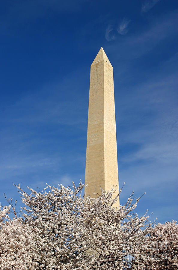 Washington Monument Photograph by Jeannette Hunt