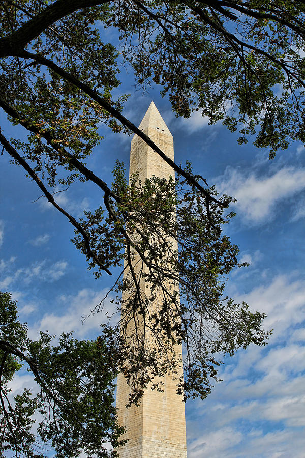 Washington Monument Photograph by Judy Vincent
