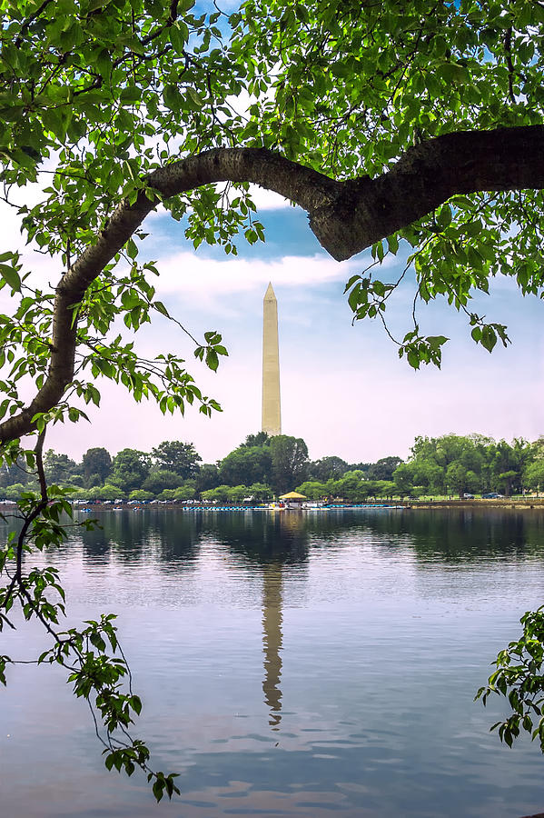 Washington Monument Reflection Photograph by Mary Almond