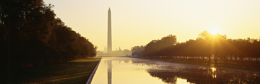 Tree Photograph - Washington Monument Washington Dc by Panoramic Images